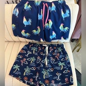 Large Chubbies Classic Swim Trunks 4"